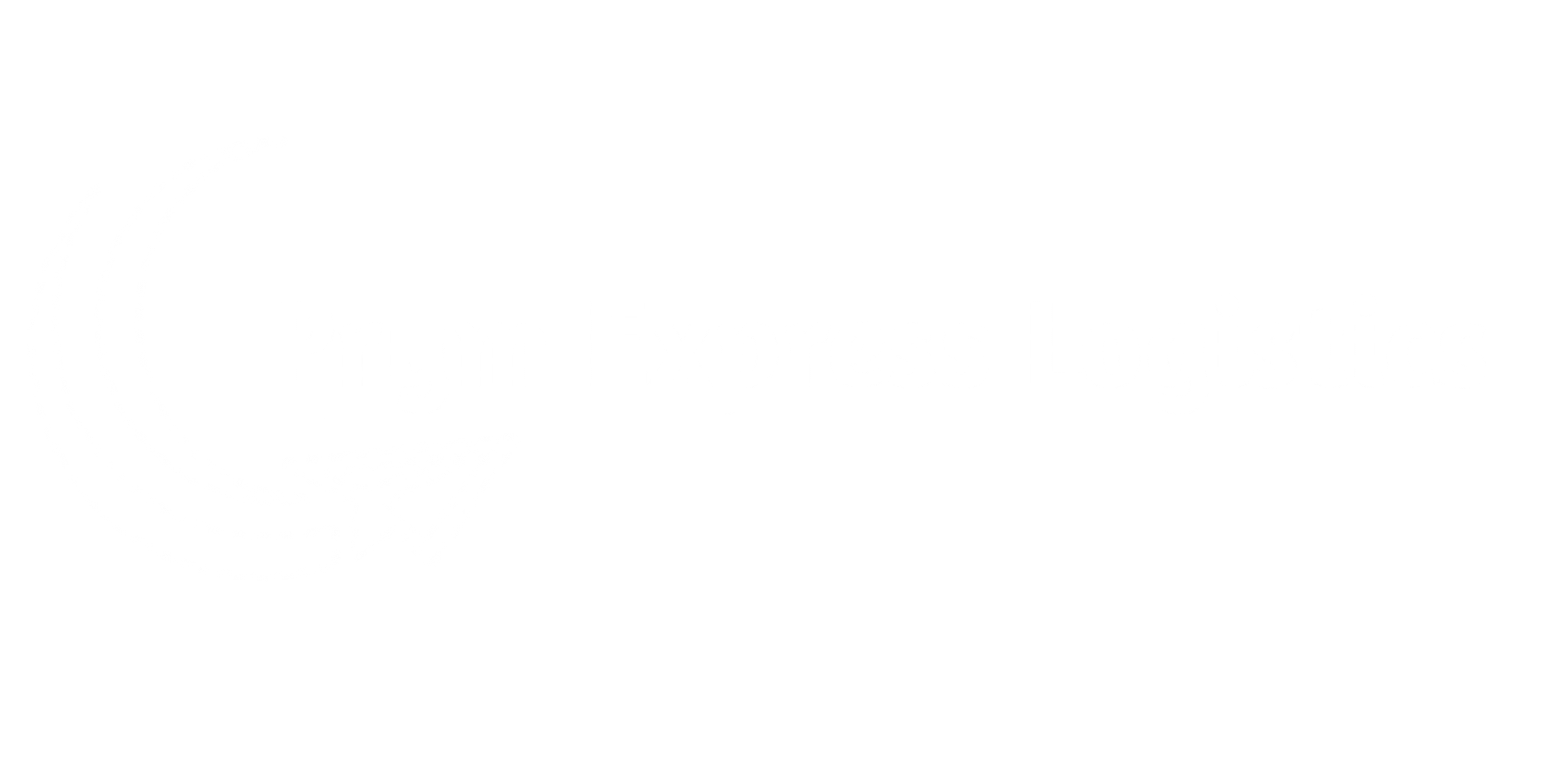 Geoport logo